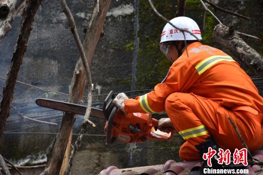 图为消防官兵在屋顶上锯树排险。　黄华 摄