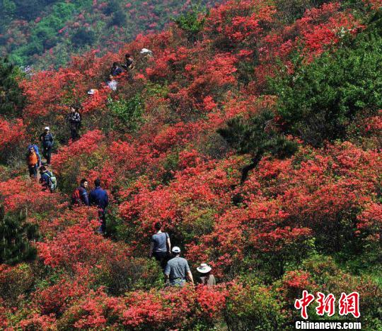 丽水山林 丽水宣传部提供 摄